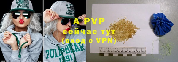 ПСИЛОЦИБИНОВЫЕ ГРИБЫ Гусиноозёрск
