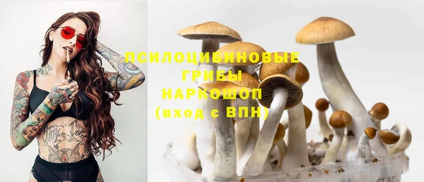ПСИЛОЦИБИНОВЫЕ ГРИБЫ Гусиноозёрск
