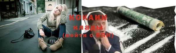 шишки Гусь-Хрустальный