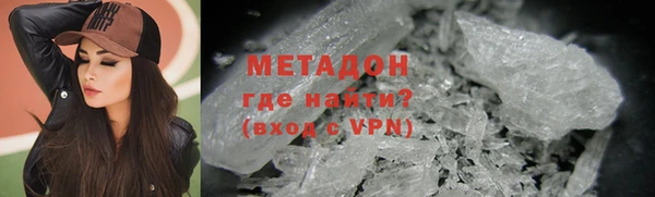 прущие грибы Горно-Алтайск