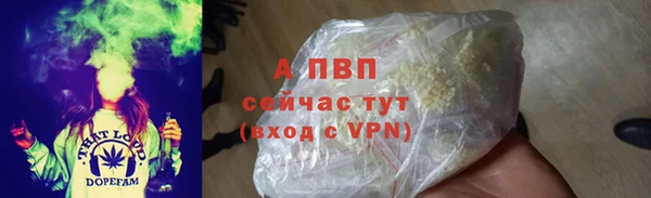 шишки Гусь-Хрустальный