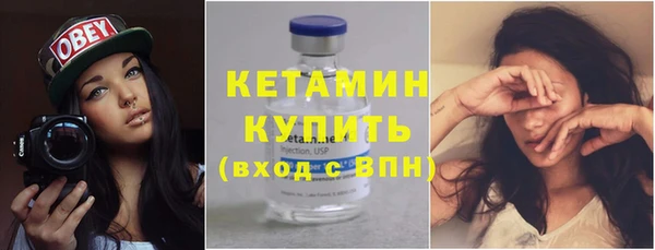 прущие грибы Горно-Алтайск
