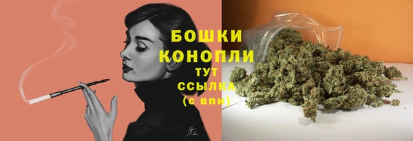 шишки Гусь-Хрустальный