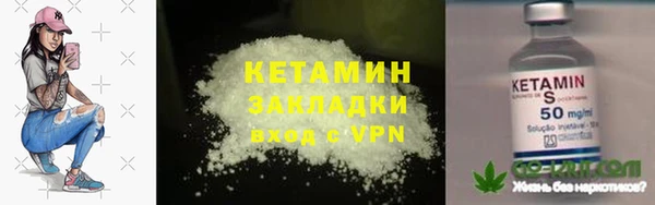 прущие грибы Горно-Алтайск