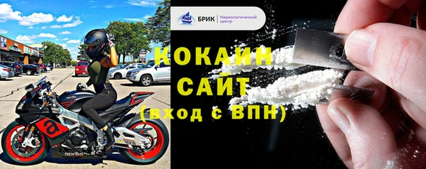 ПСИЛОЦИБИНОВЫЕ ГРИБЫ Гусиноозёрск