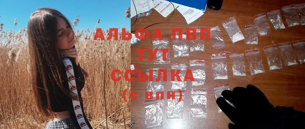 прущие грибы Горно-Алтайск