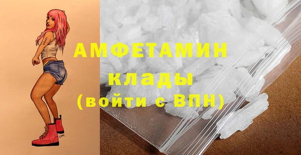 шишки Гусь-Хрустальный